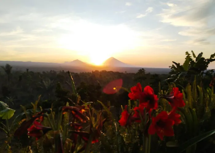 Homestay Rumahku